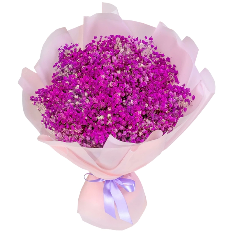 Букет из 15 розовых гипсофил